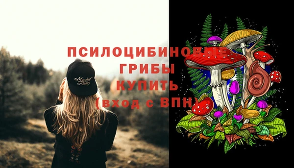 ПСИЛОЦИБИНОВЫЕ ГРИБЫ Белоозёрский